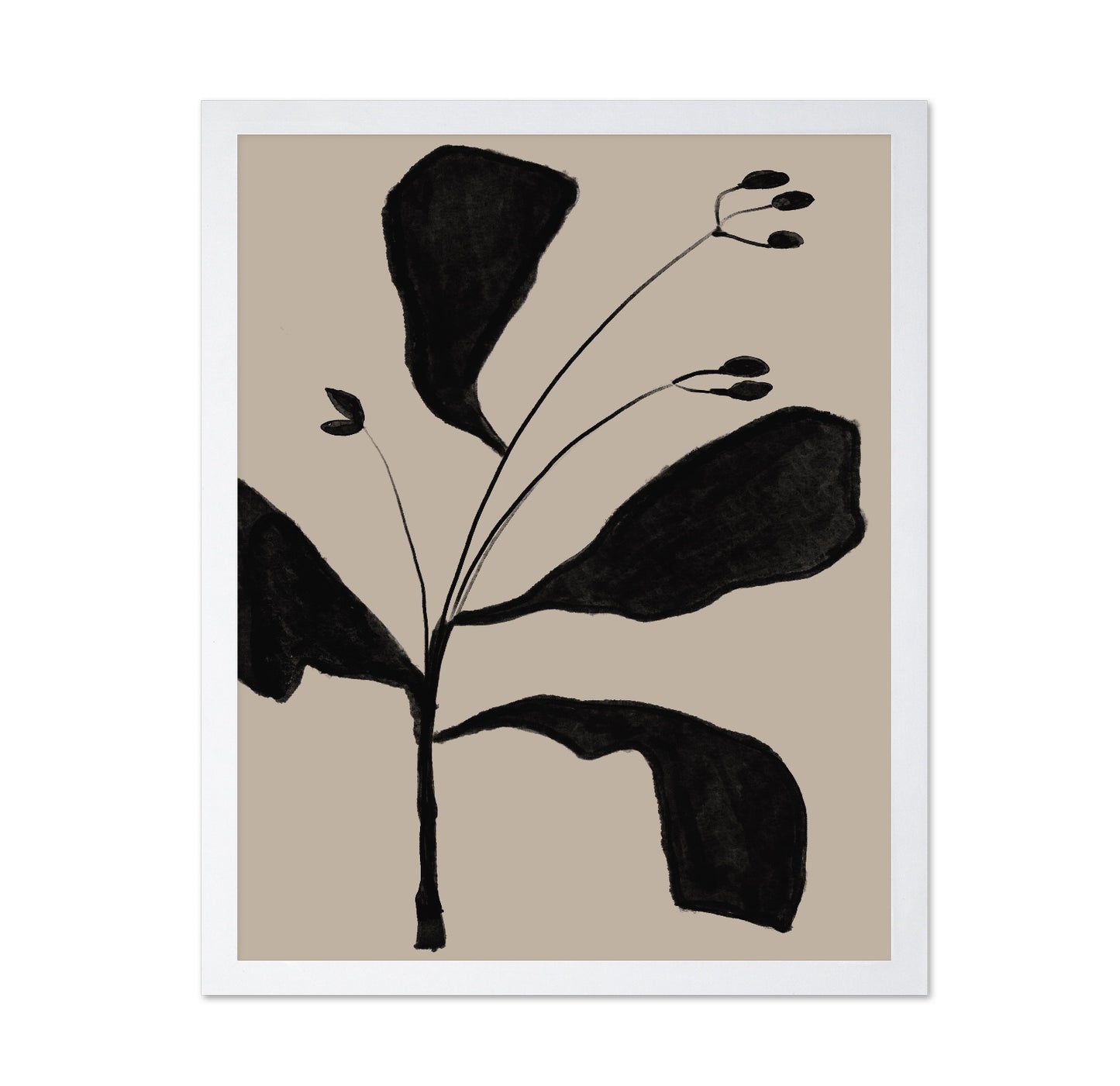Black Botanical Sketch