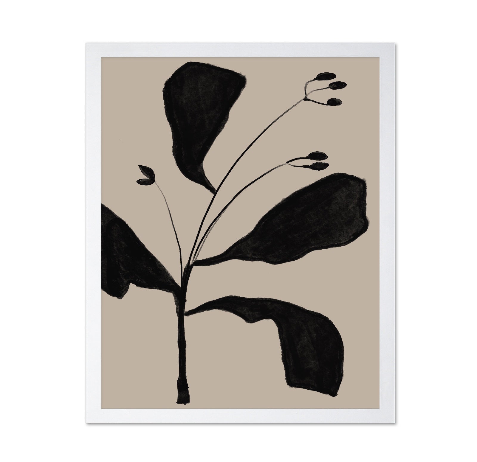 Black Botanical Sketch