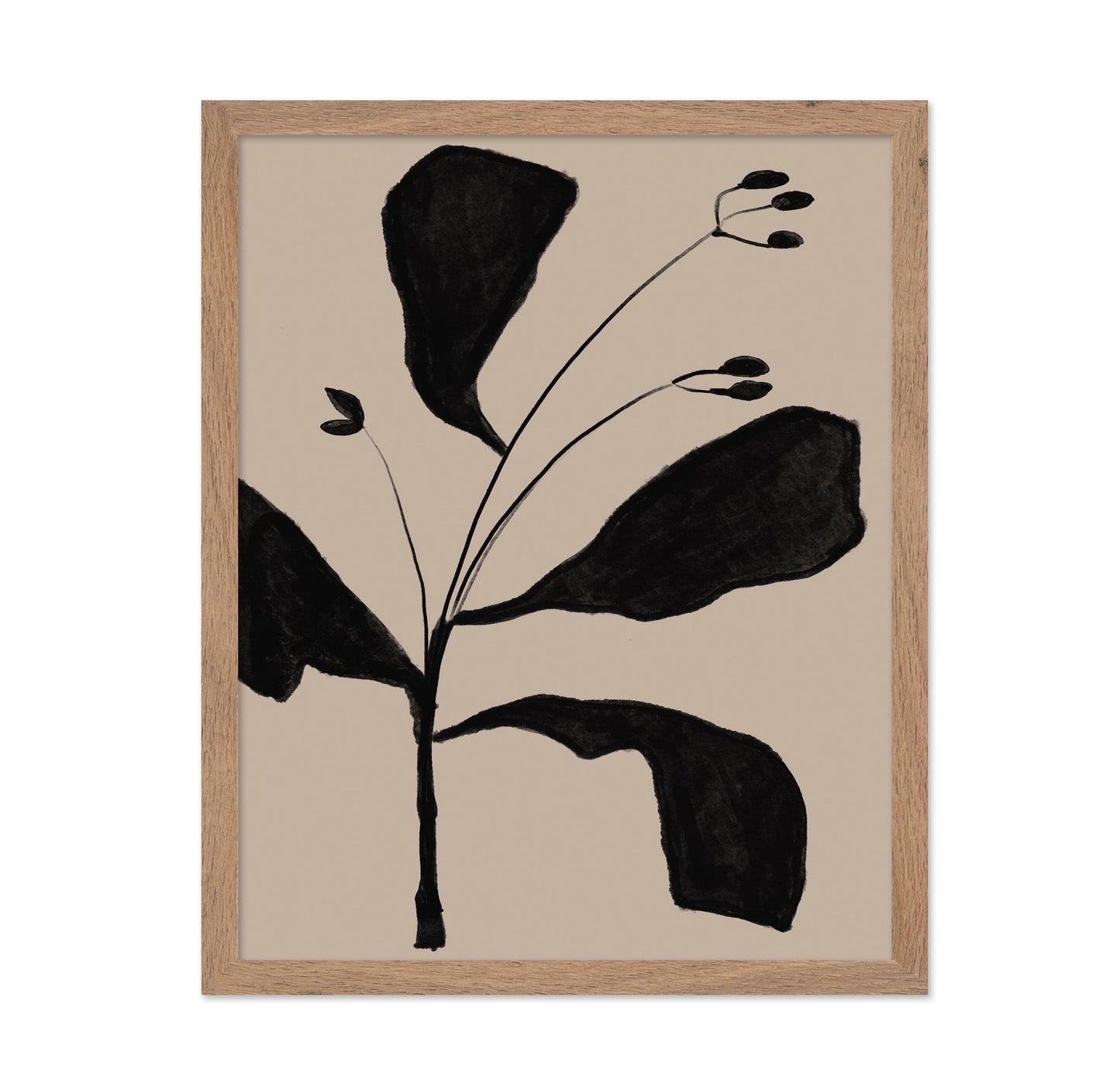 Black Botanical Sketch