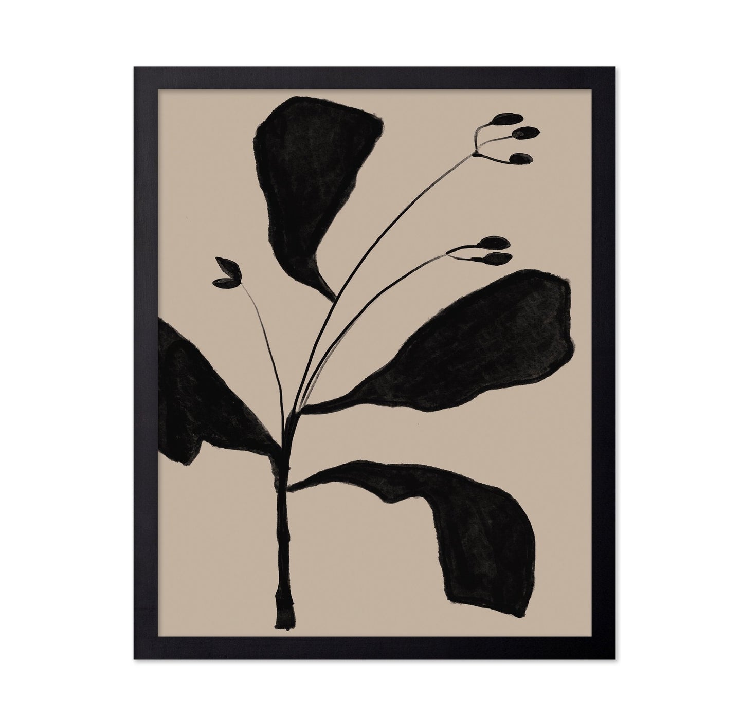 Black Botanical Sketch