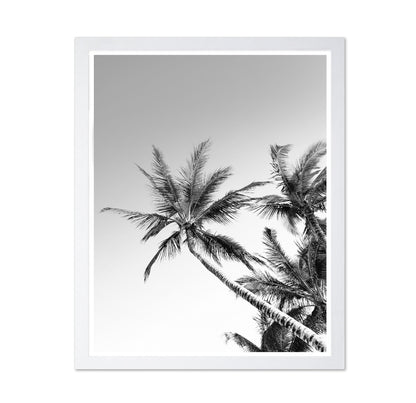 Palm Sky View No2