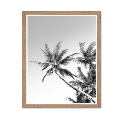 Palm Sky View No2