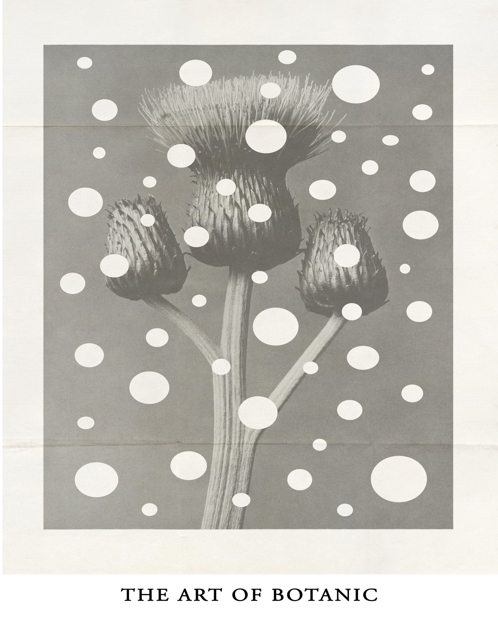 Botanic Dot Overlay