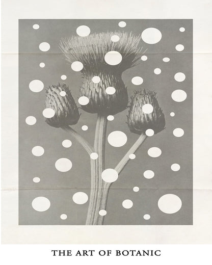 Botanic Dot Overlay
