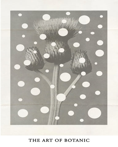 Botanic Dot Overlay