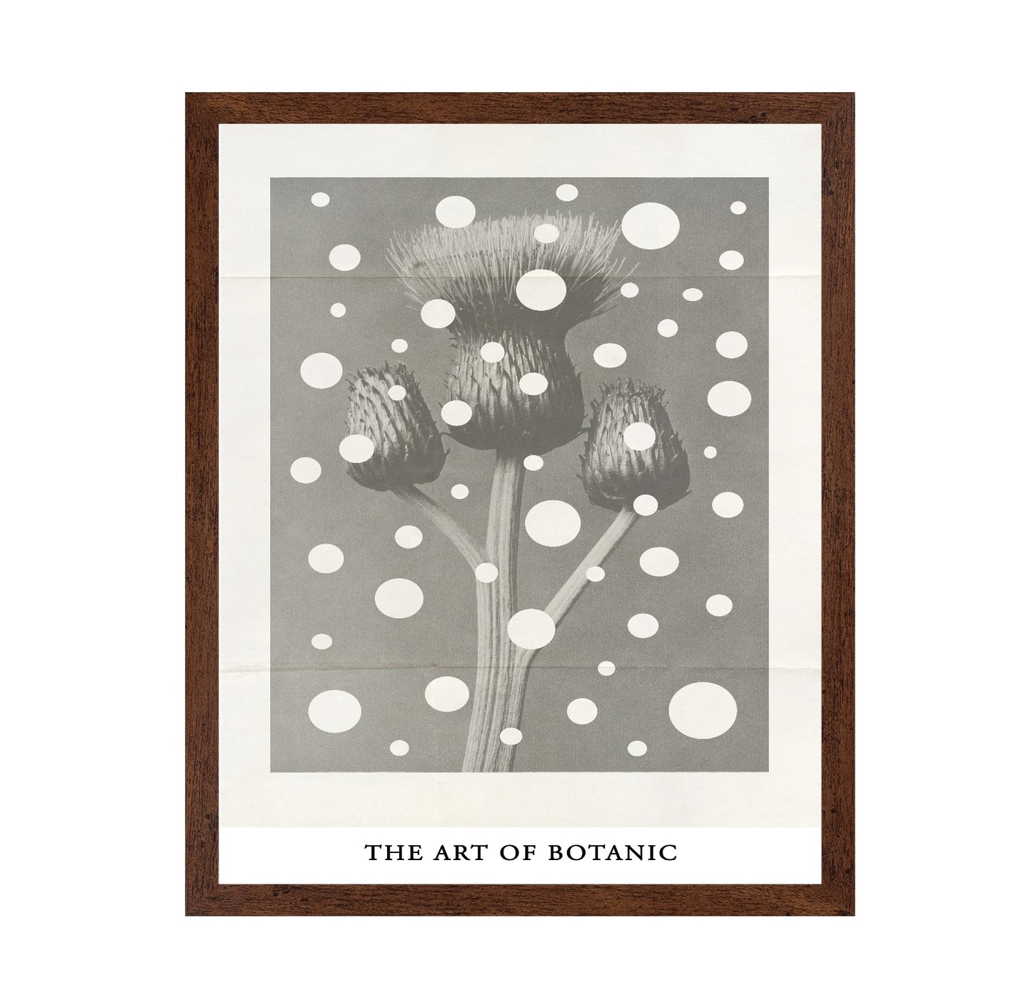 Botanic Dot Overlay
