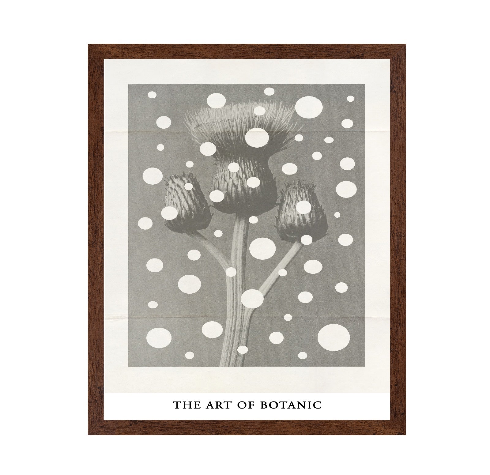 Botanic Dot Overlay