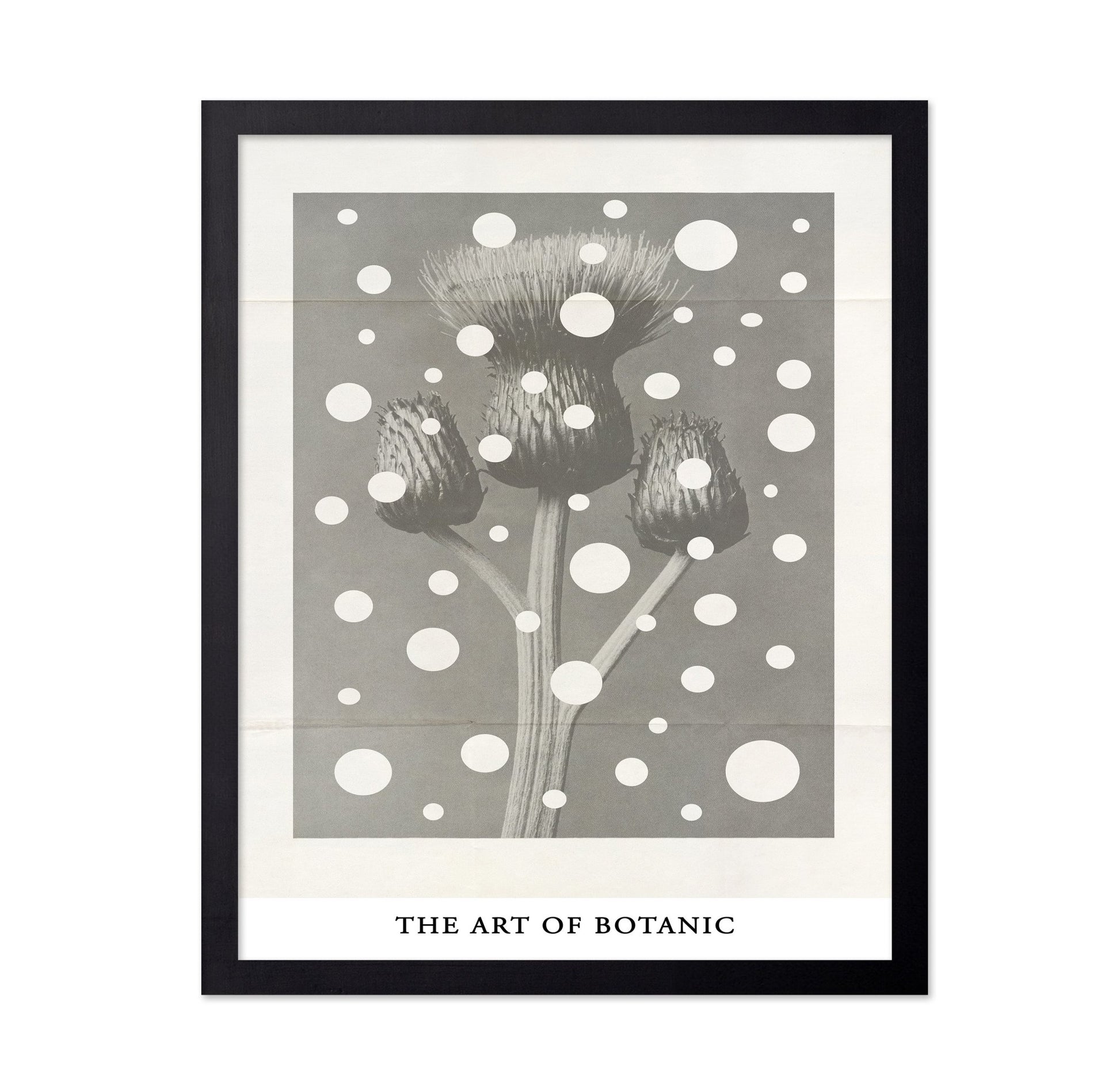 Botanic Dot Overlay