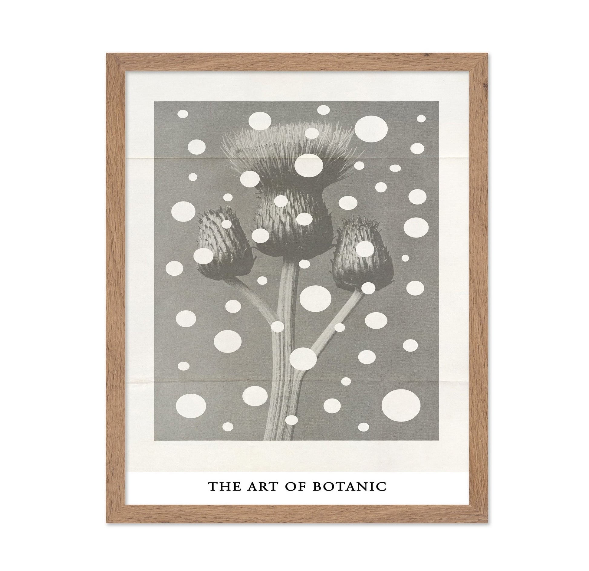 Botanic Dot Overlay