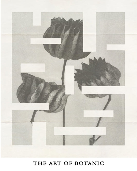 Botanic Forms Study