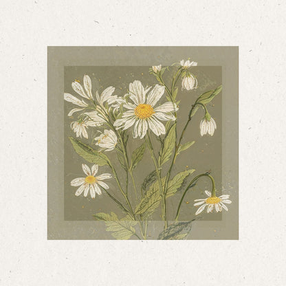 Vintage Daisy Bloom