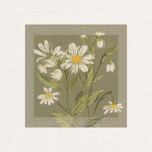Vintage Daisy Bloom