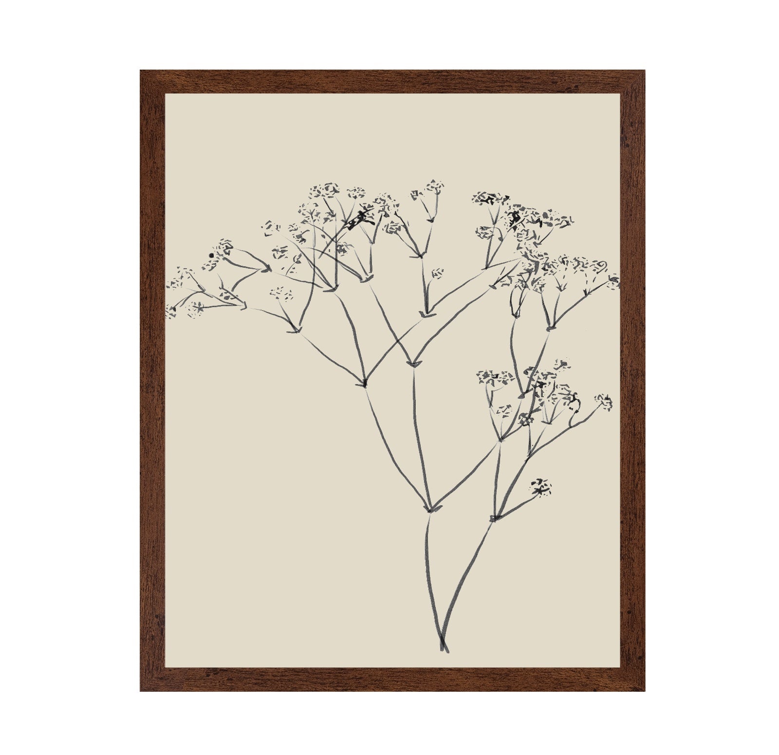 Botanical Line Sketch