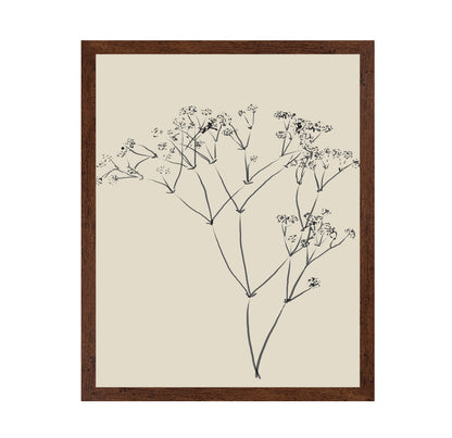 Botanical Line Sketch