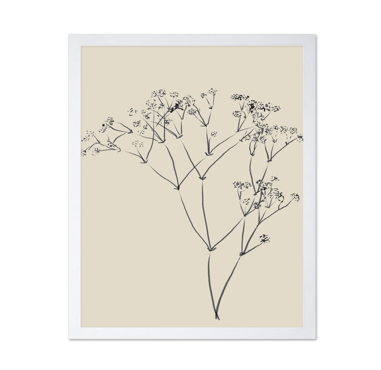 Botanical Line Sketch