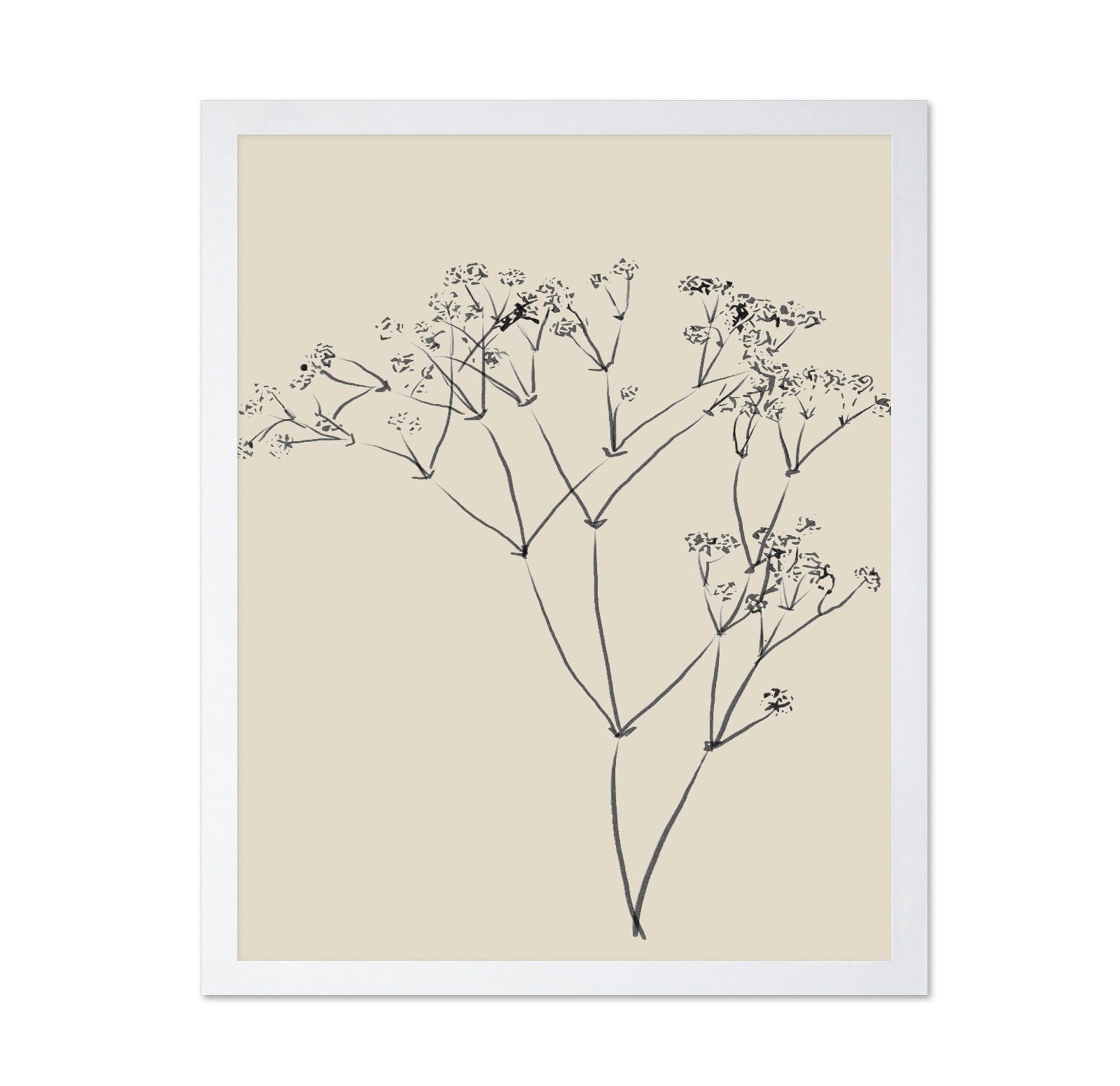 Botanical Line Sketch
