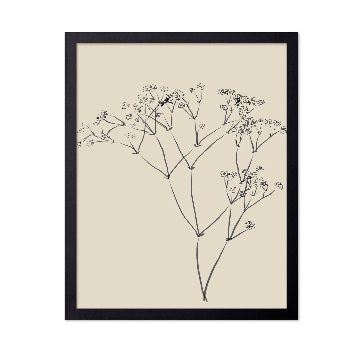 Botanical Line Sketch