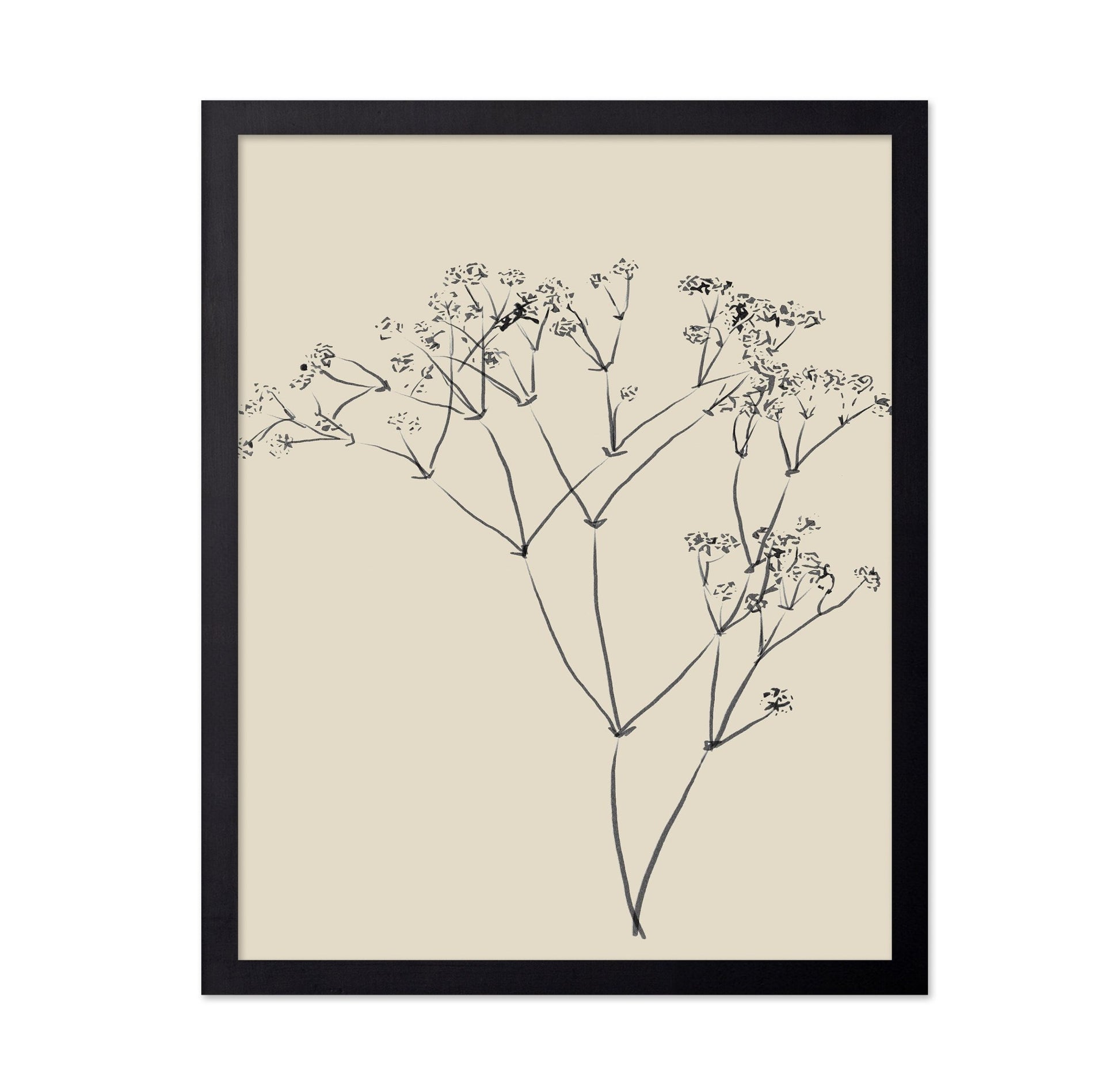 Botanical Line Sketch