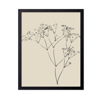 Botanical Line Sketch