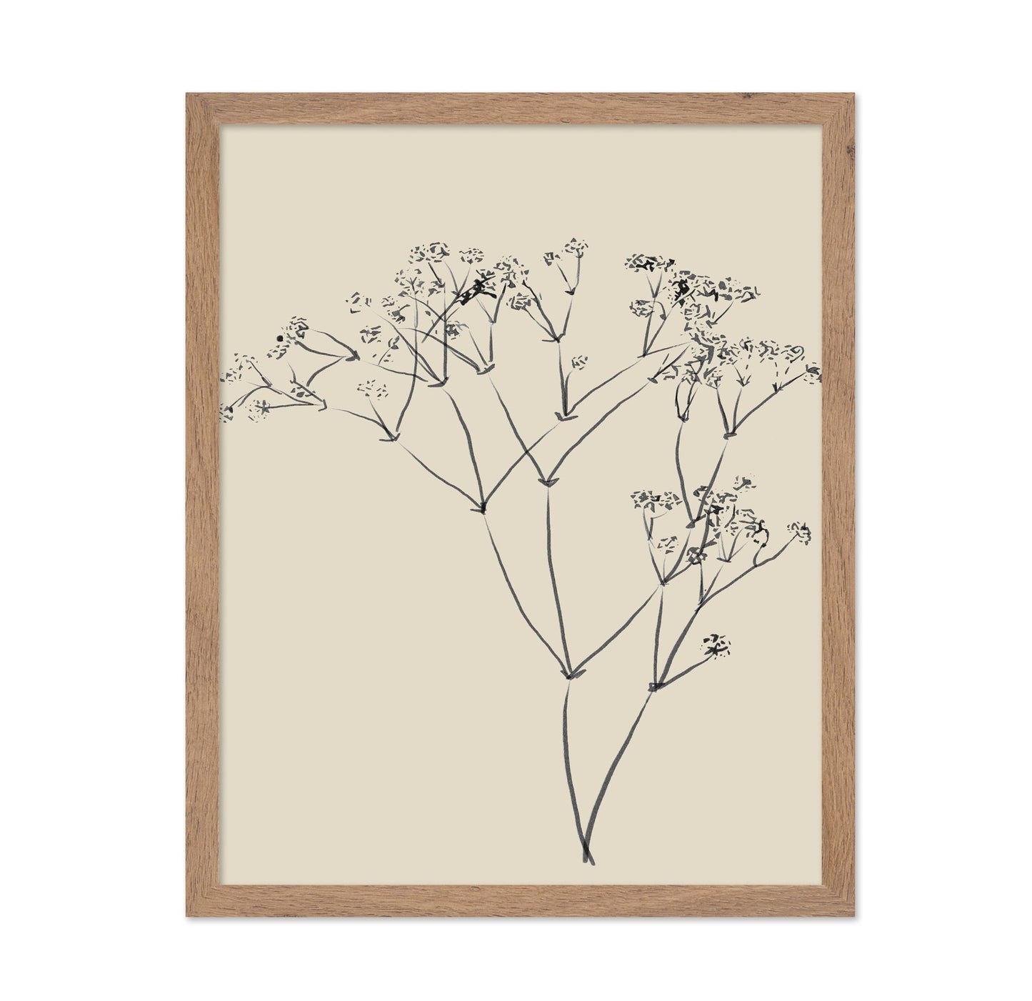 Botanical Line Sketch