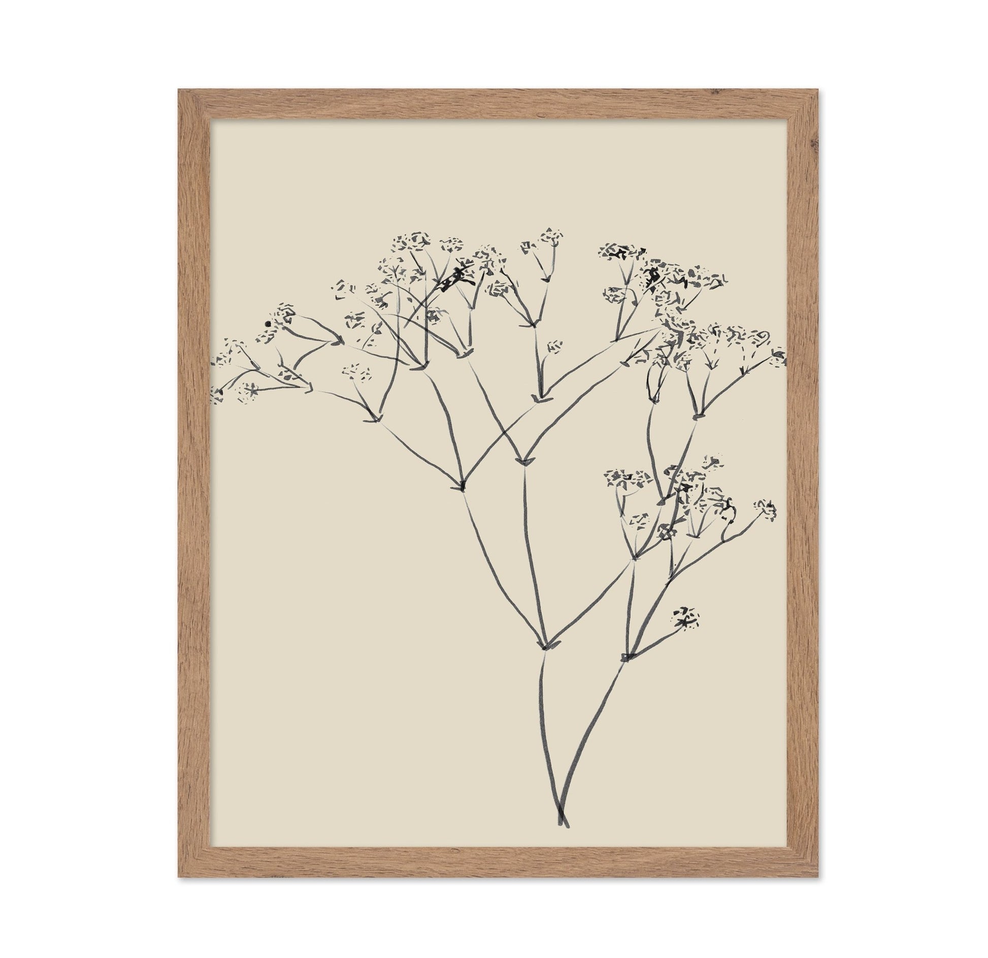 Botanical Line Sketch