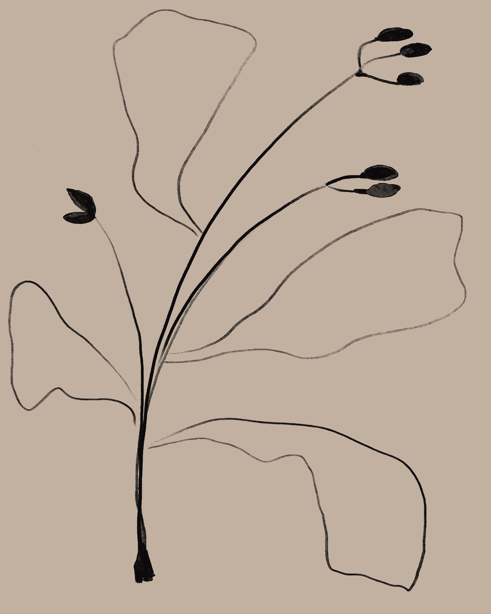 Minimal Botanical Line
