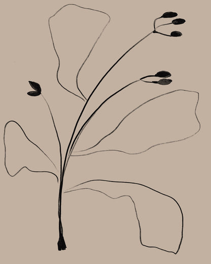 Minimal Botanical Line