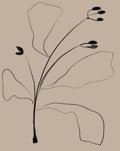 Minimal Botanical Line