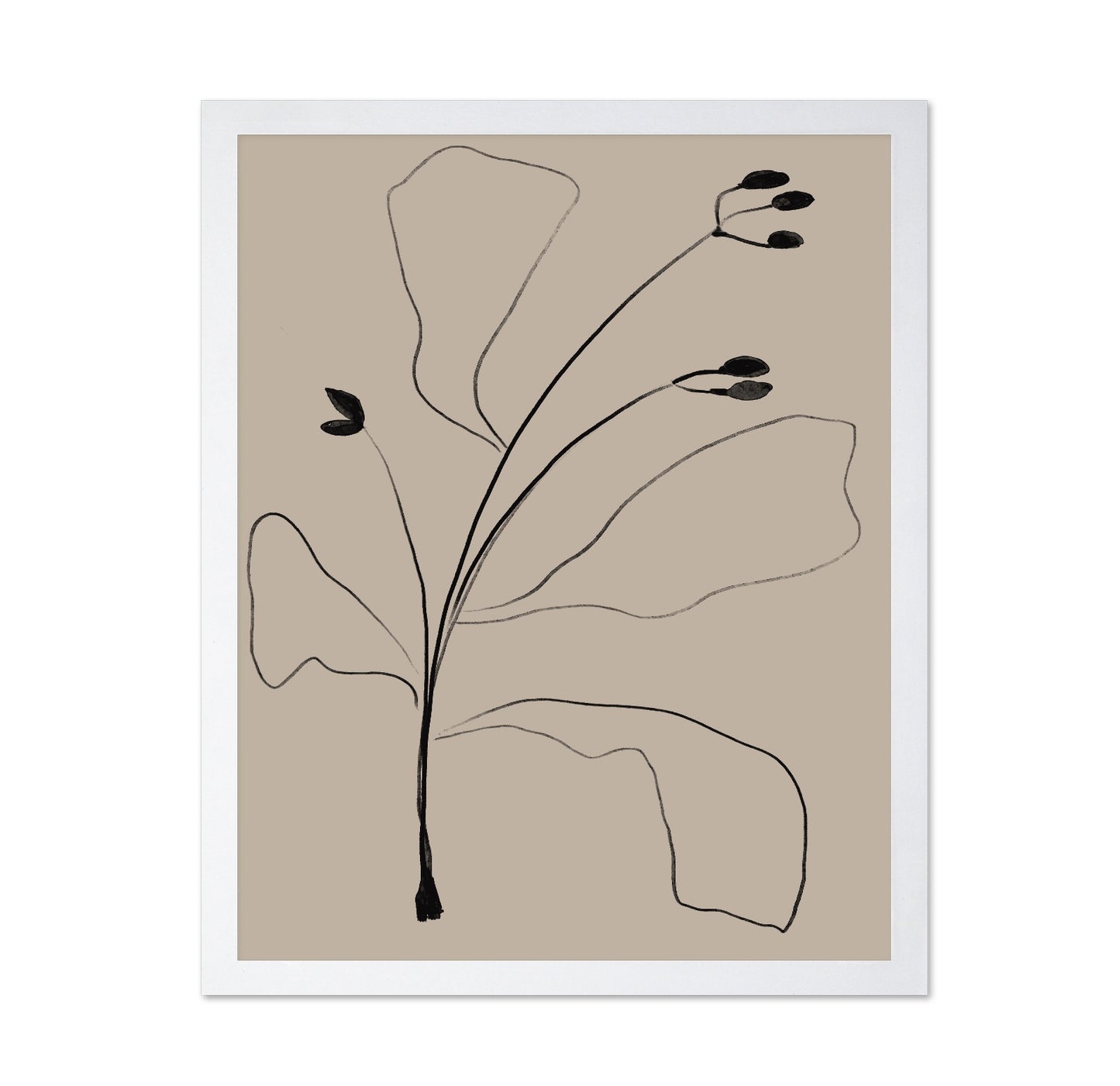 Minimal Botanical Line