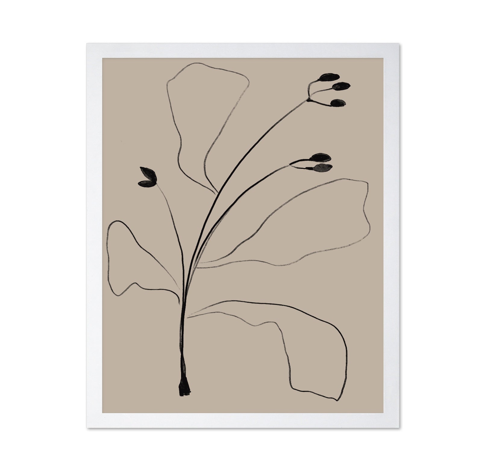 Minimal Botanical Line