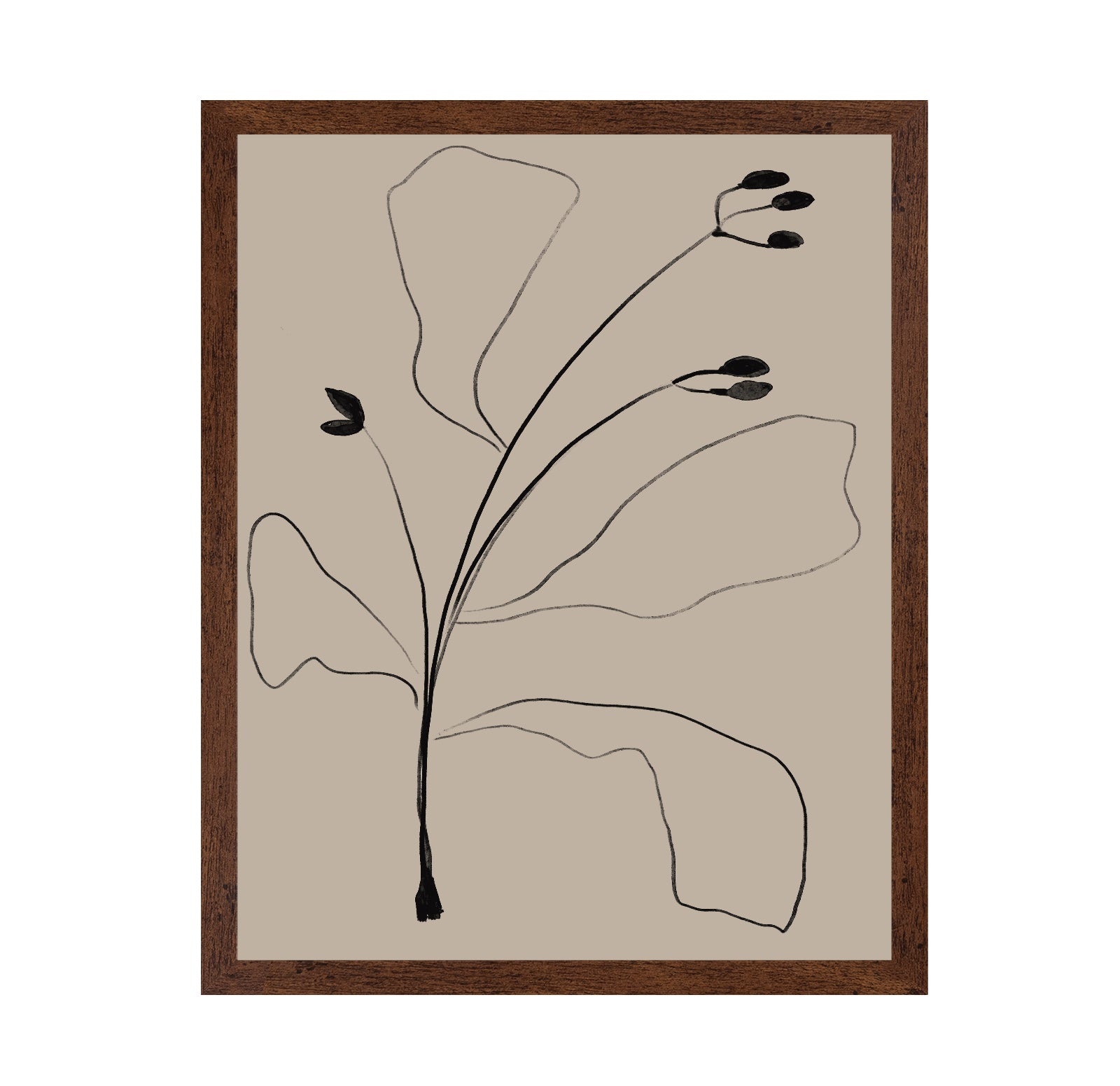 Minimal Botanical Line
