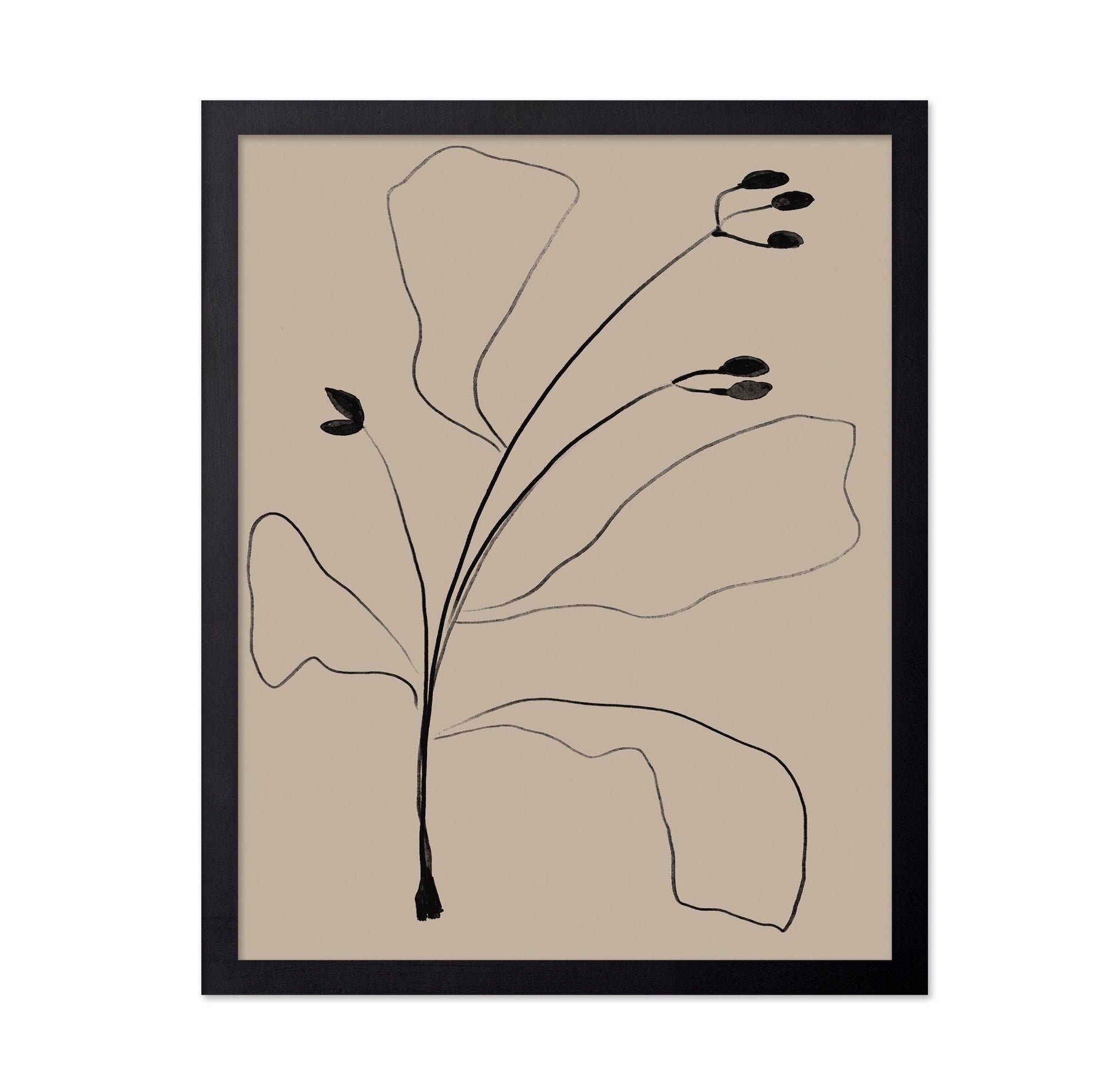 Minimal Botanical Line