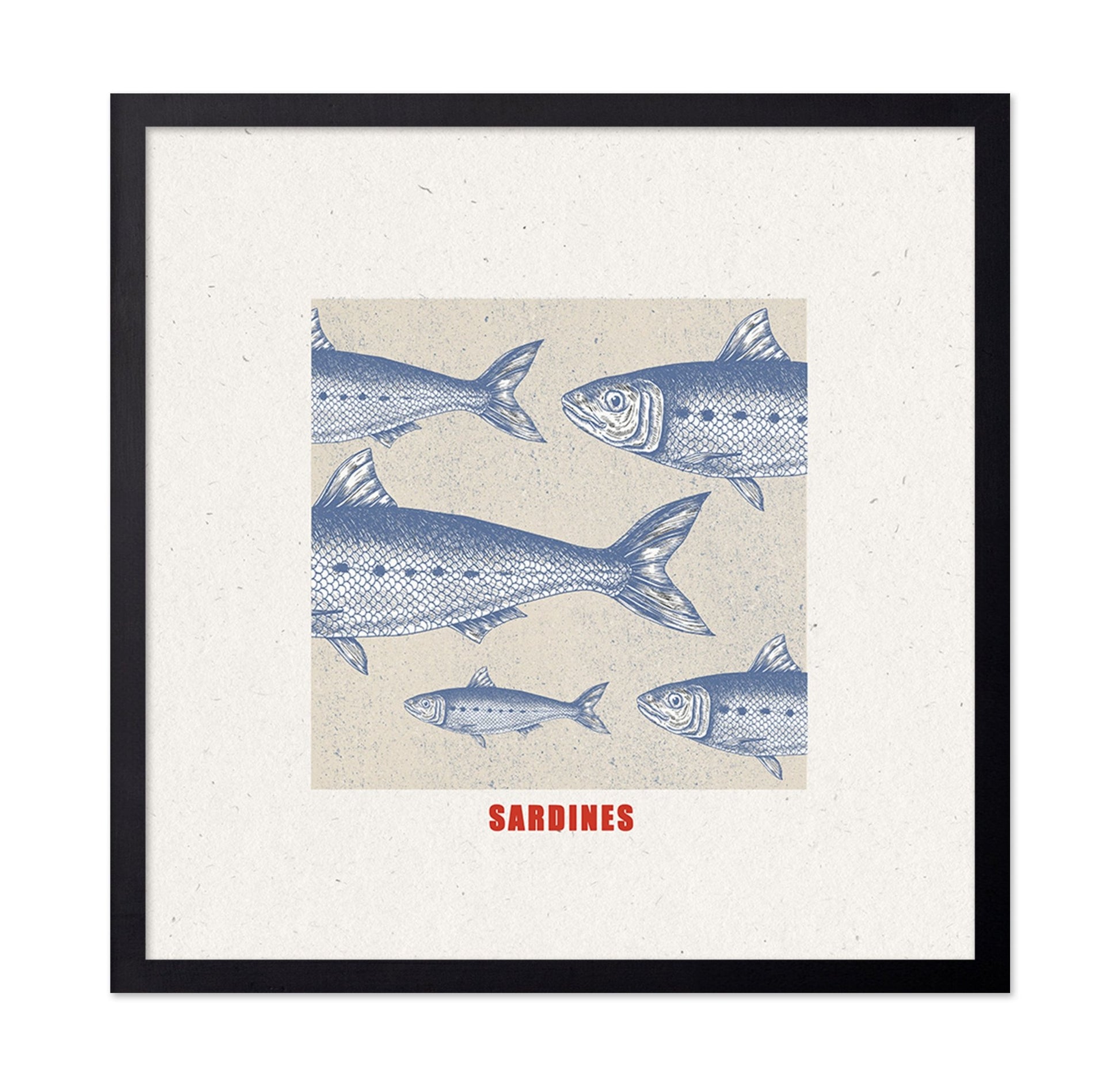 Vintage Sardine Illustration