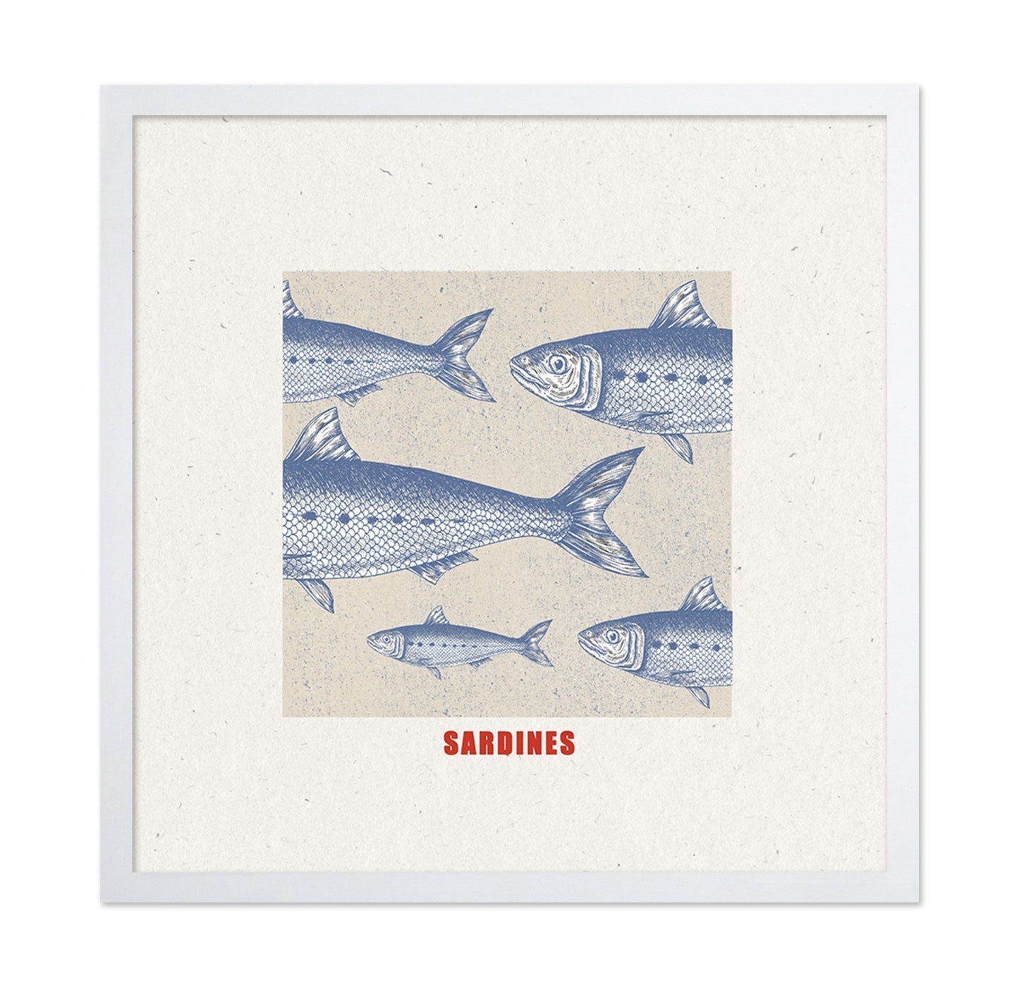 Vintage Sardine Illustration