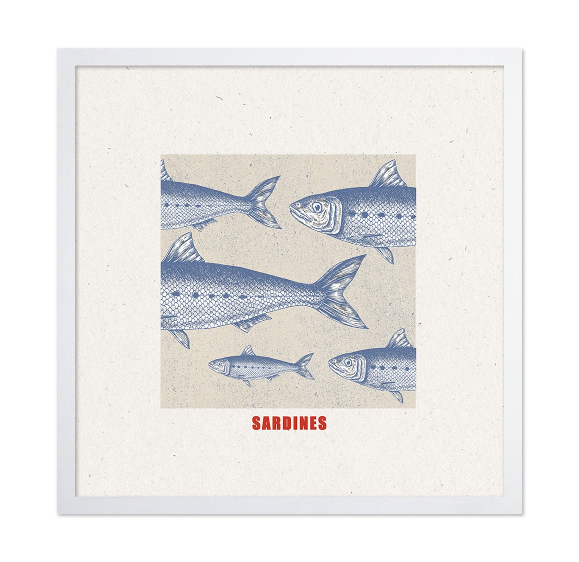 Vintage Sardine Illustration