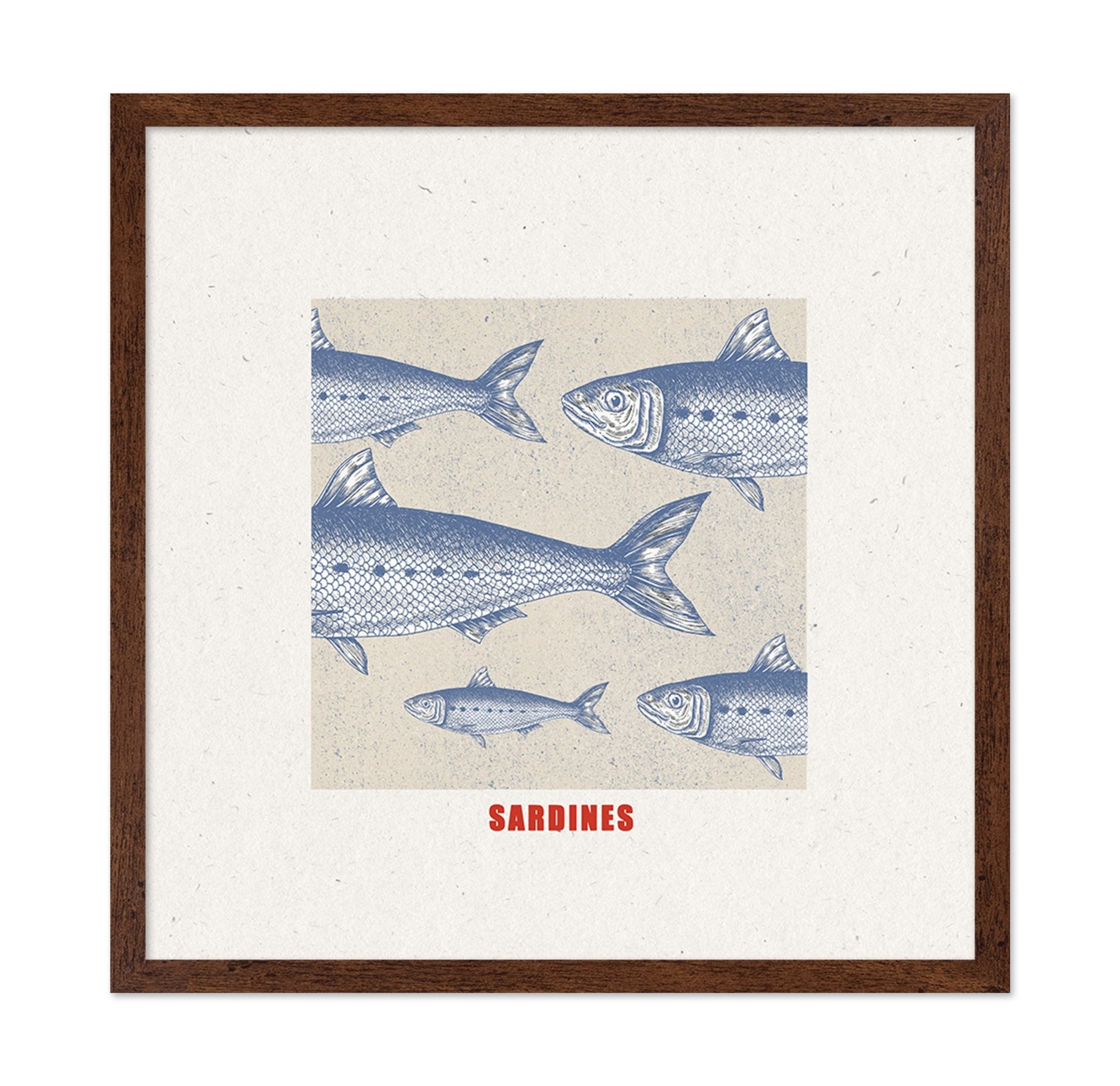 Vintage Sardine Illustration