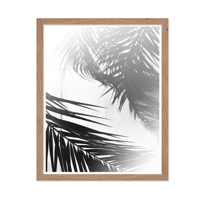 Palm Shadow Light No2