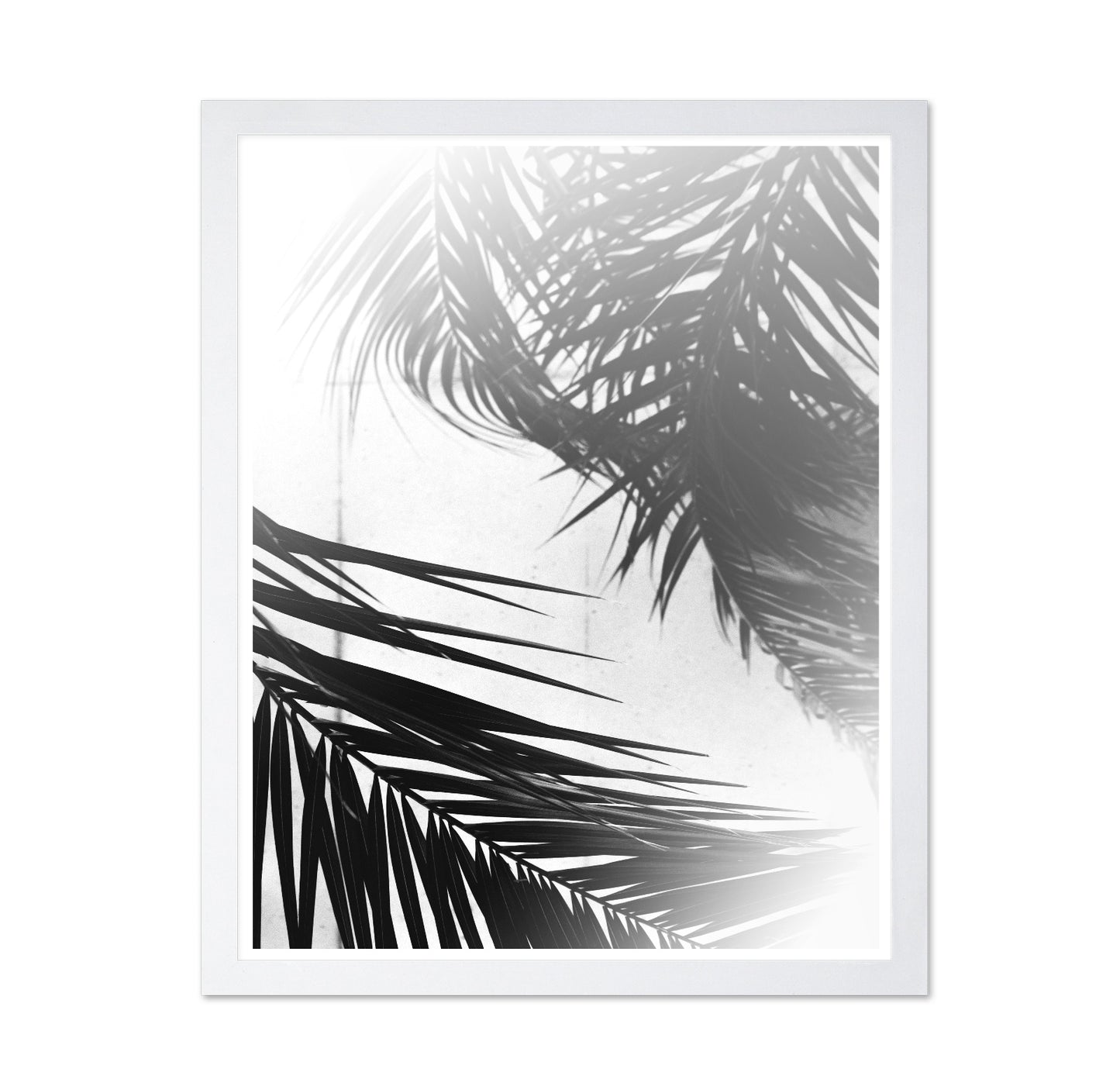 Palm Shadow Light No2