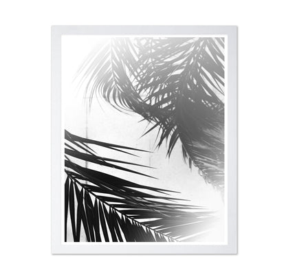 Palm Shadow Light No2