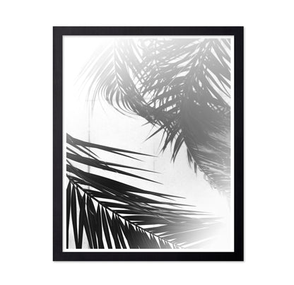 Palm Shadow Light No2