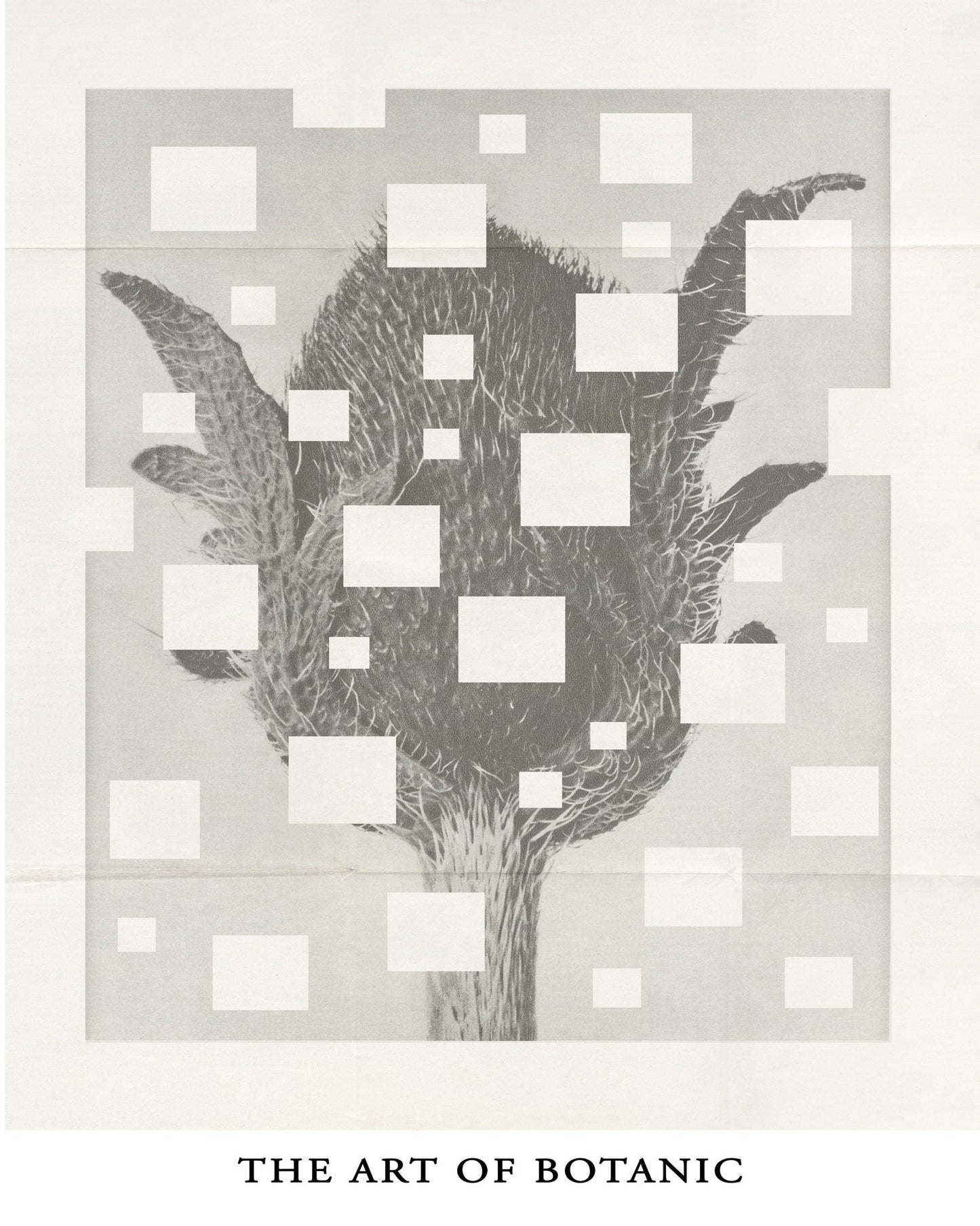 Botanic Grid Bloom