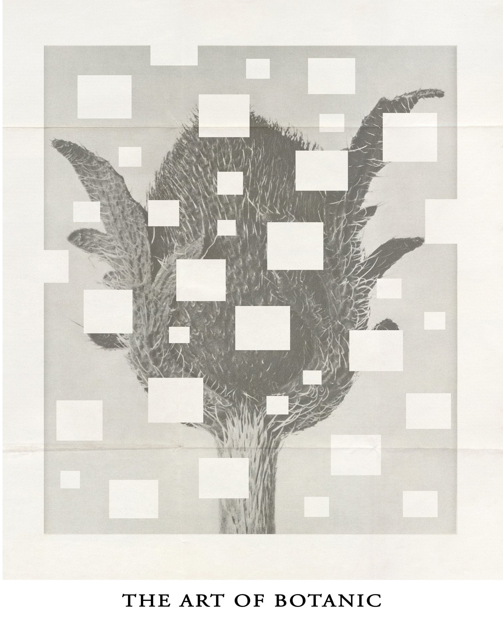 Botanic Grid Bloom