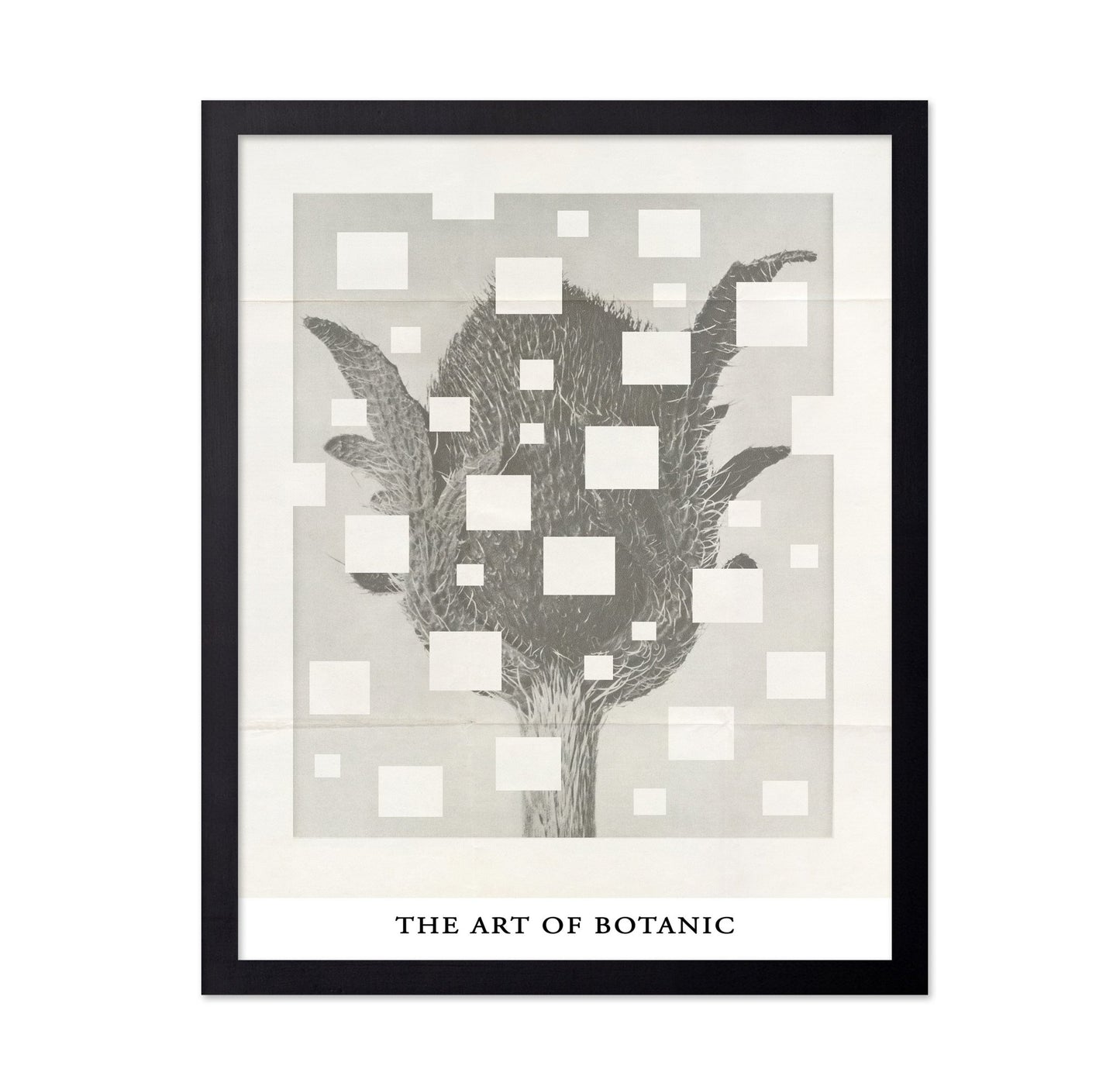 Botanic Grid Bloom