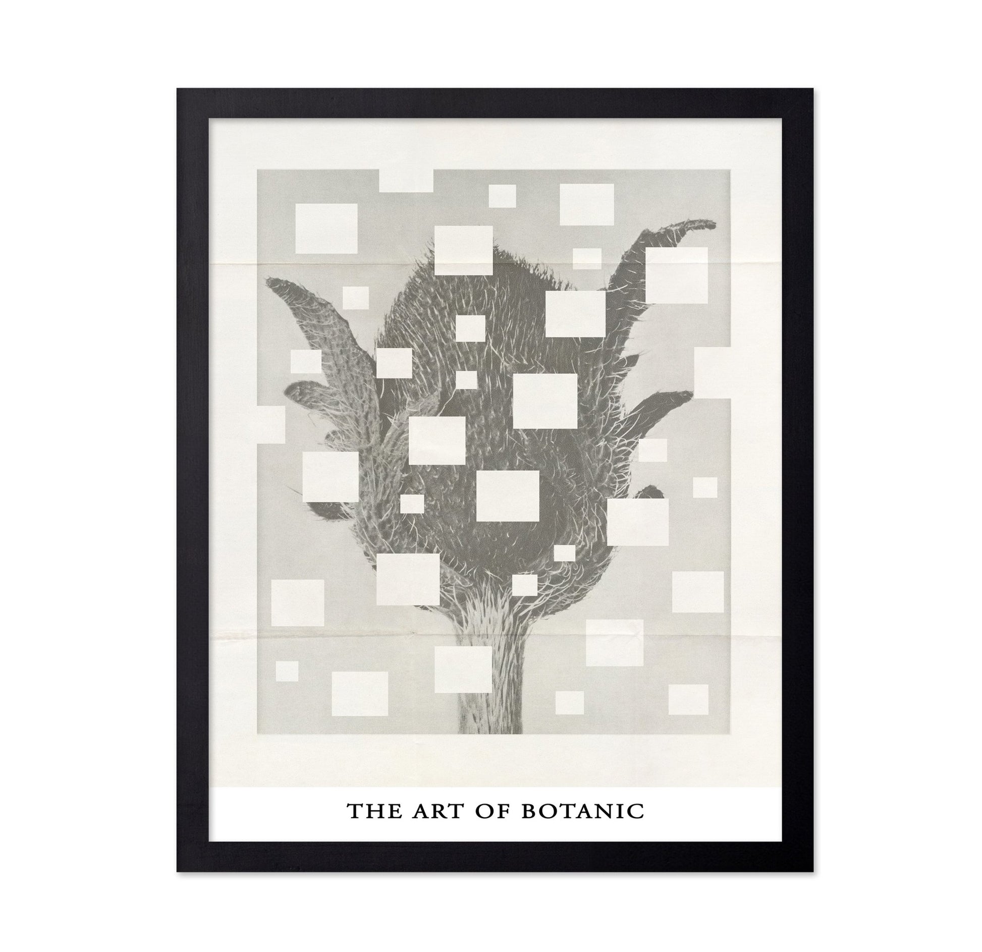 Botanic Grid Bloom