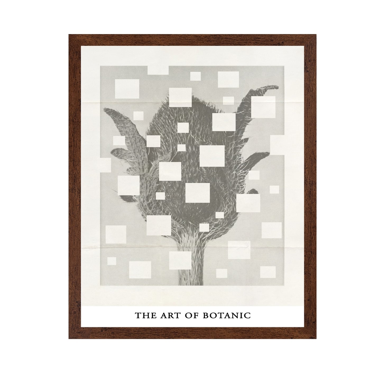 Botanic Grid Bloom