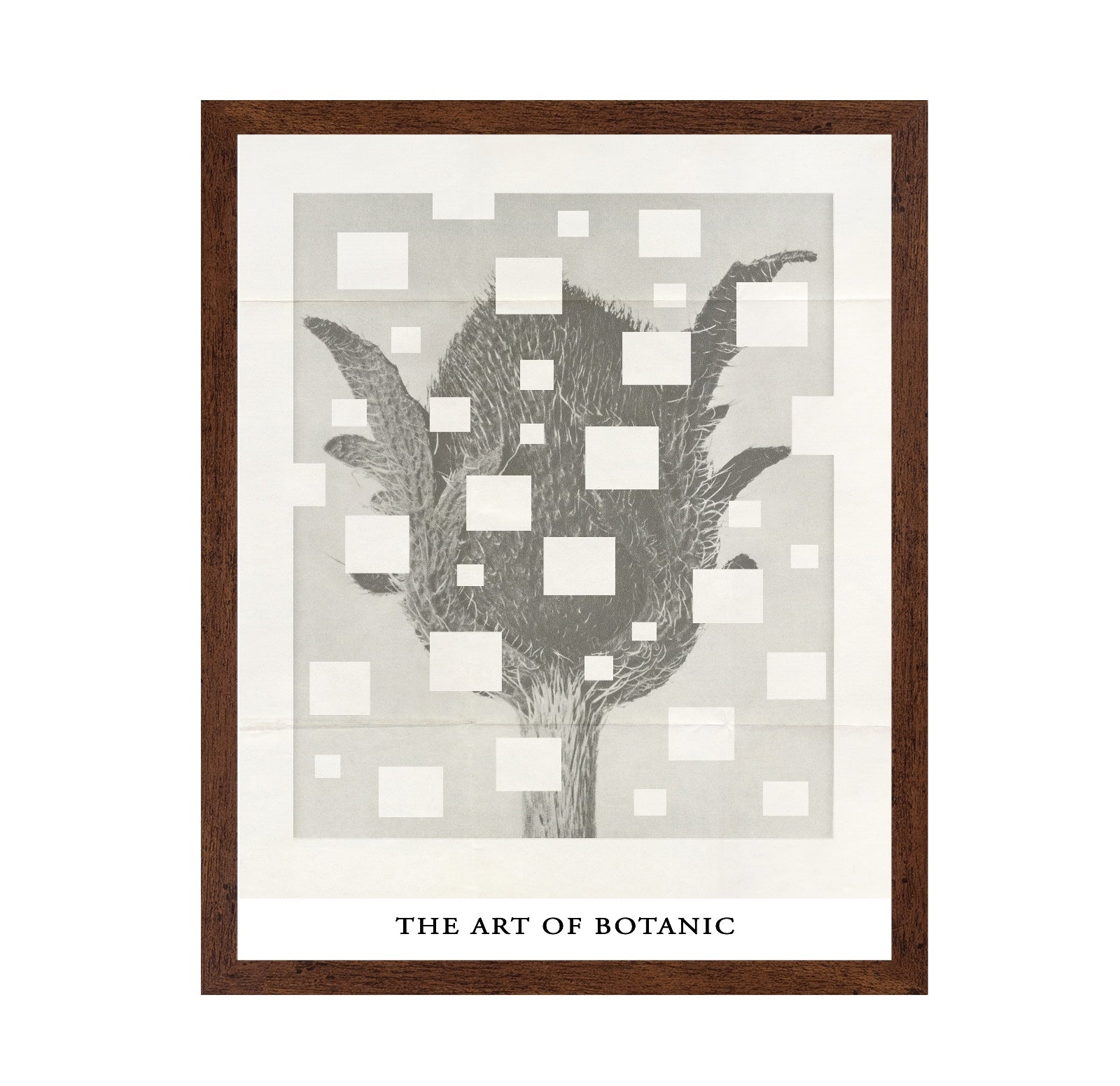 Botanic Grid Bloom