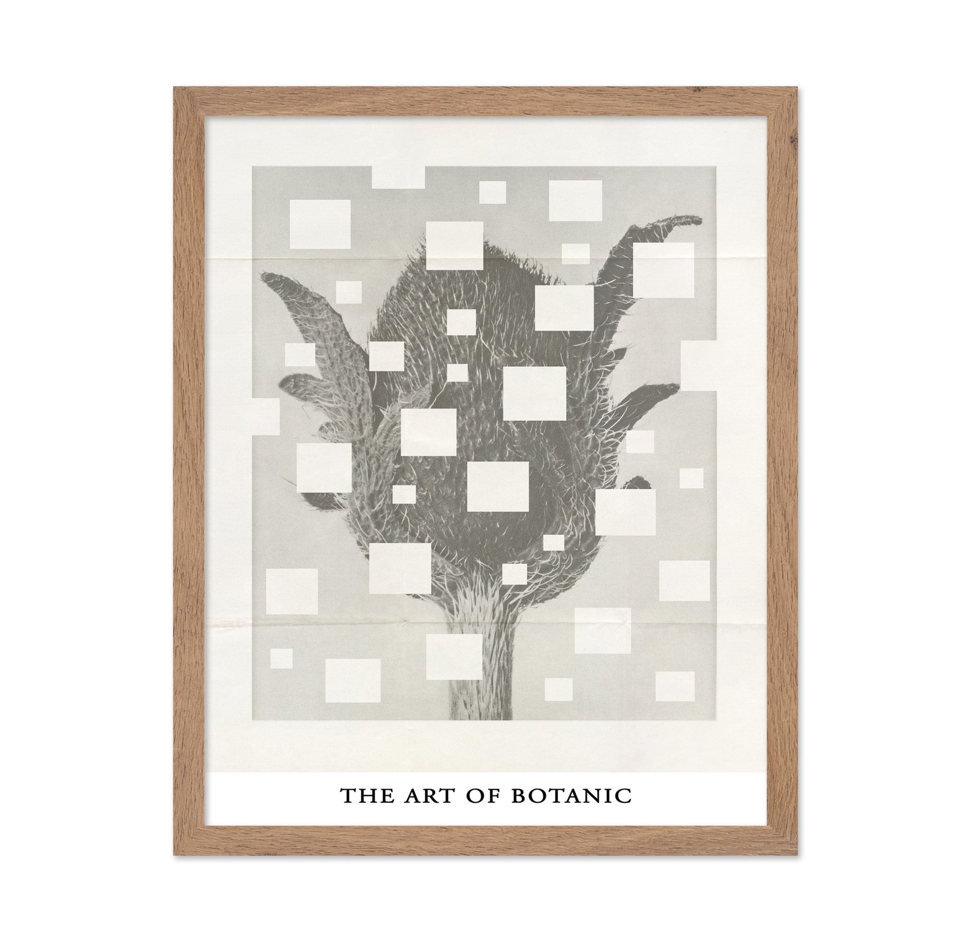 Botanic Grid Bloom