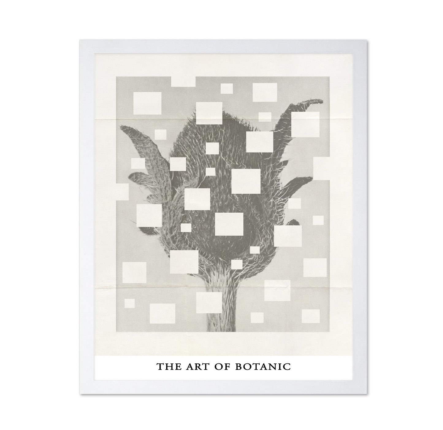 Botanic Grid Bloom