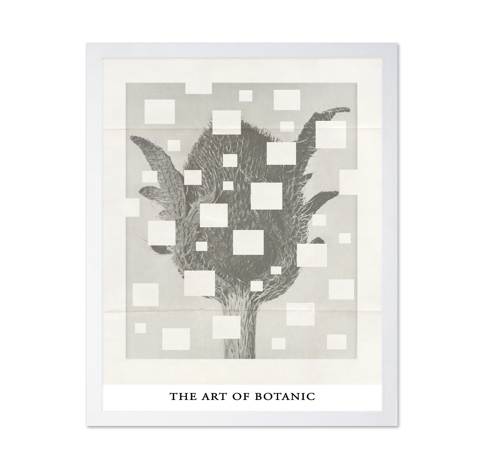 Botanic Grid Bloom