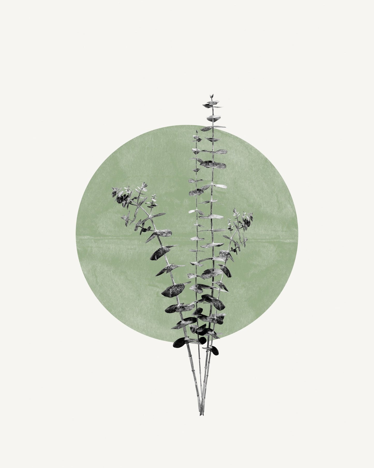 Botanical Circle